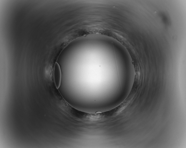 X0000088890767200706081248