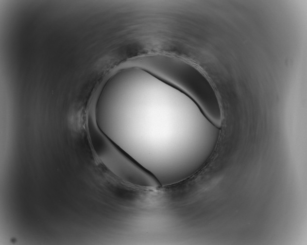 X0000088890768200706081248