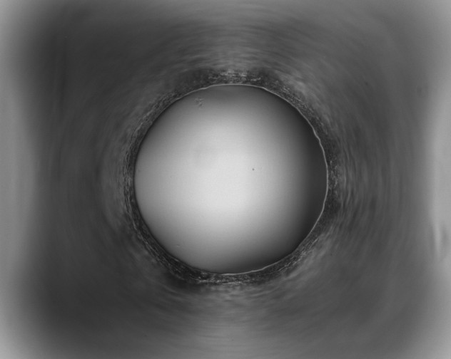 X0000088890769200706081247