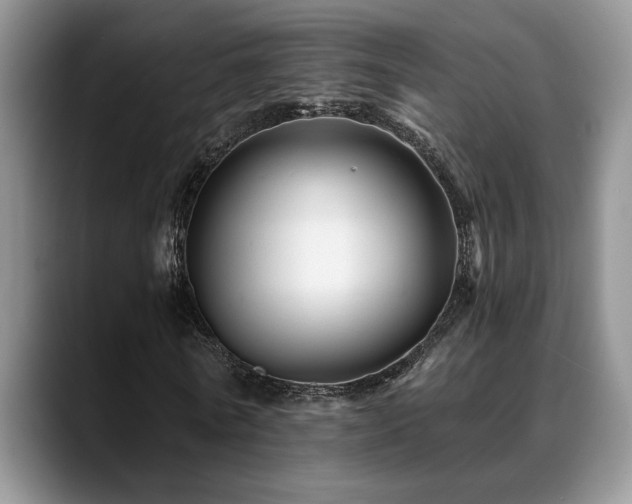 X0000088890770200706081247