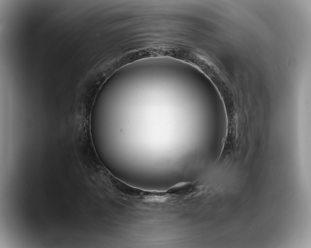 X0000088890773200706081247