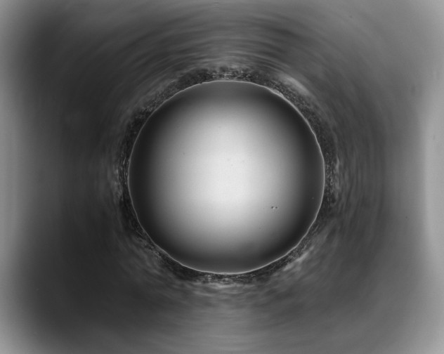 X0000088890774200706081247