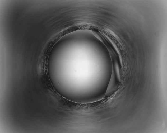 X0000088890775200706081247