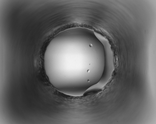 X0000088890776200706081247