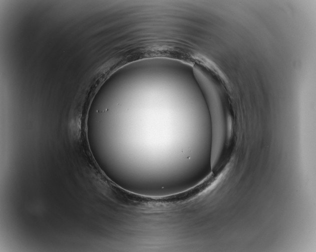 X0000088890777200706081247