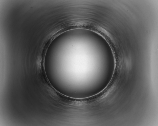 X0000088890778200706081247