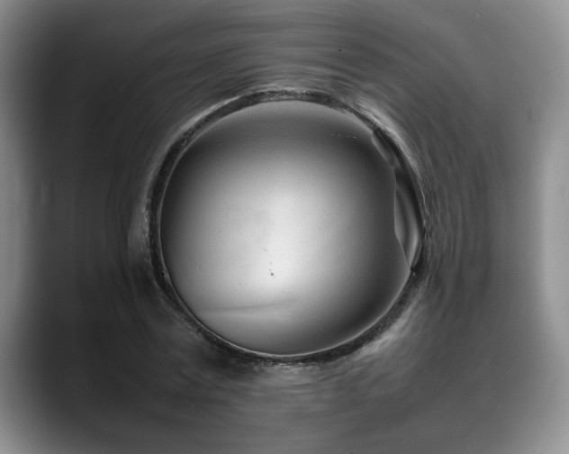 X0000088890779200706081247