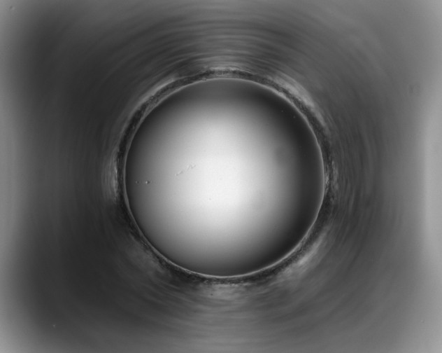 X0000088890782200706081247