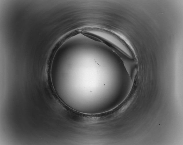 X0000088890783200706081247