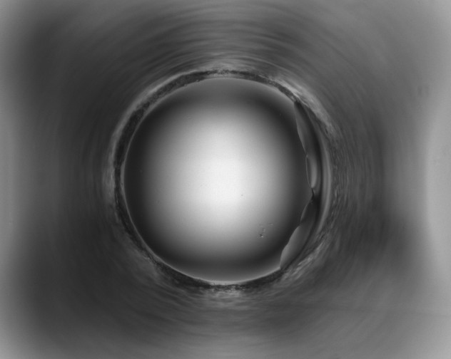 X0000088890784200706081247