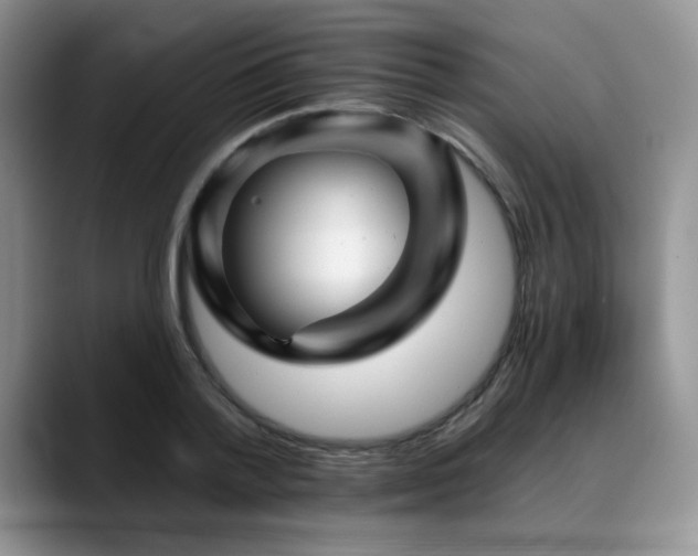 X0000088890788200706081247