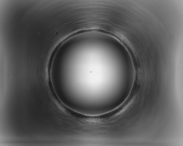 X0000088890789200706081247