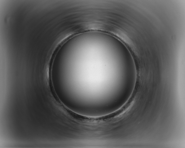 X0000088890790200706081247