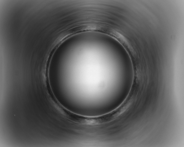 X0000088890794200706081247