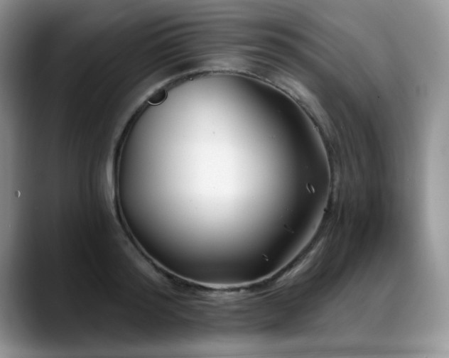 X0000088890796200706081247