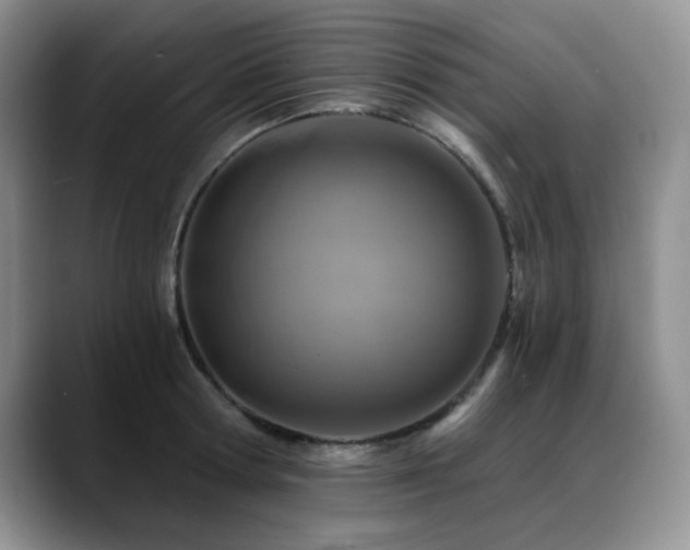 X0000088890802200706081247