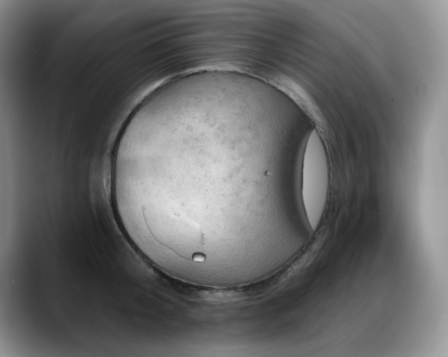 X0000088890804200706081247