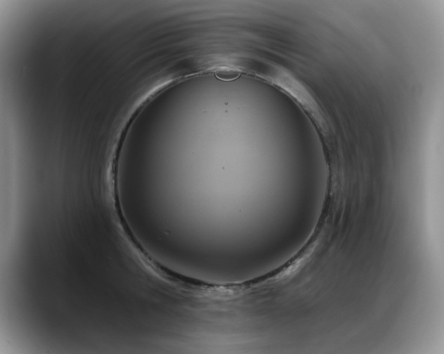 X0000088890806200706081247