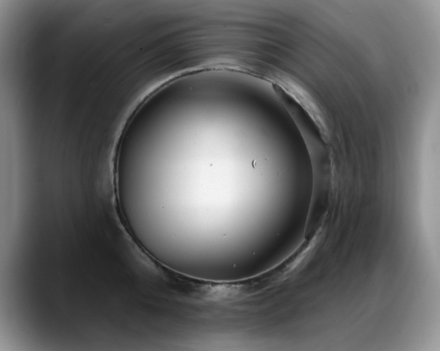 X0000088890808200706081247