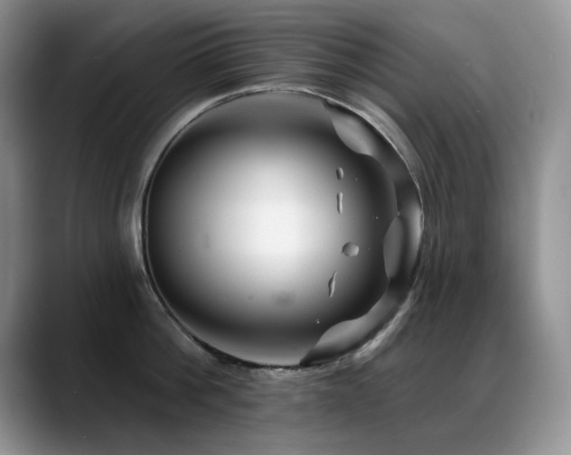 X0000088890812200706081247