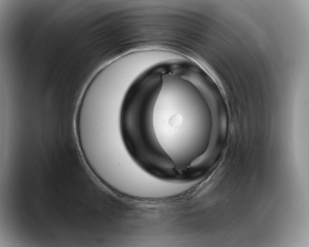 X0000088890813200706081247