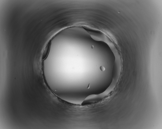 X0000088890816200706081247