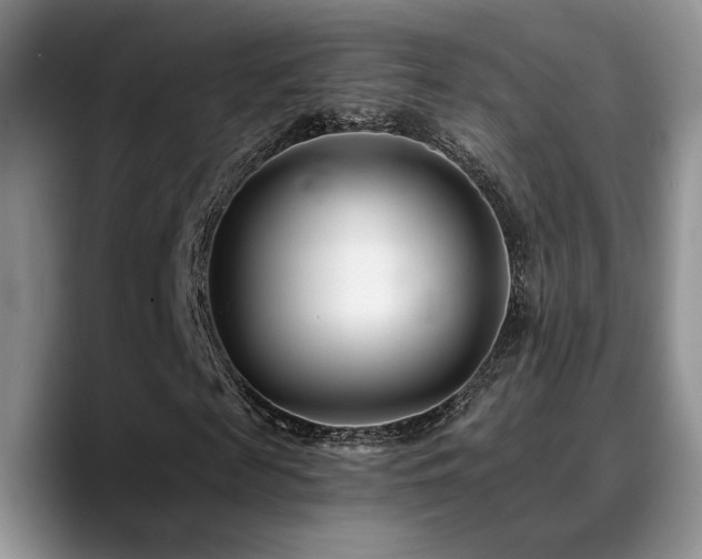 X0000088890817200706081246