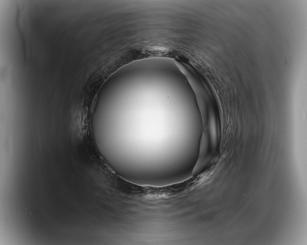 X0000088890818200706081246