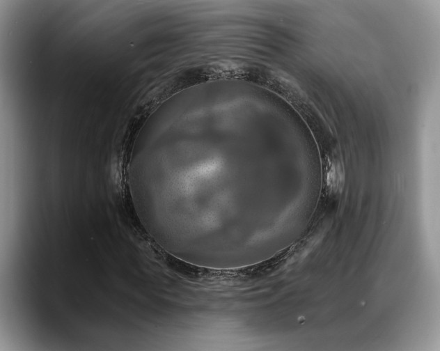 X0000088890819200706081246