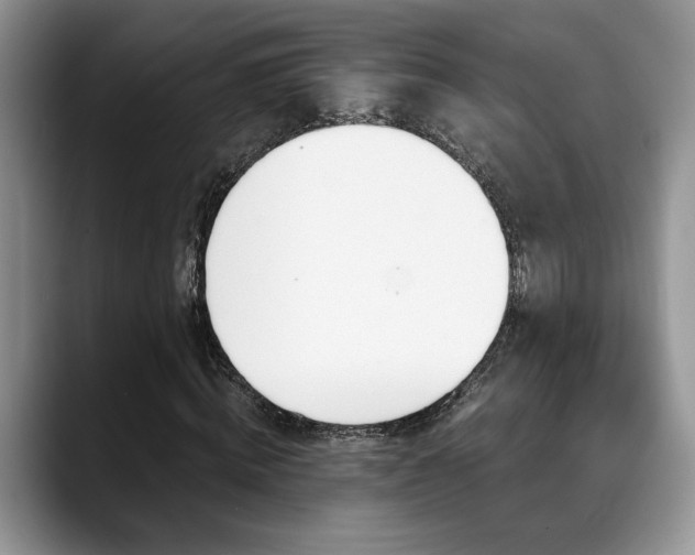 X0000088890820200706081246