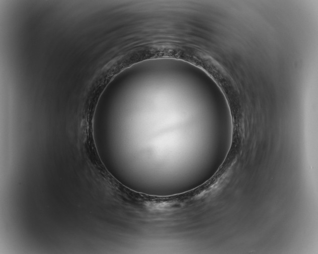 X0000088890821200706081246