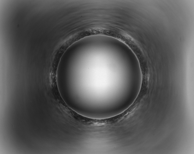 X0000088890822200706081246