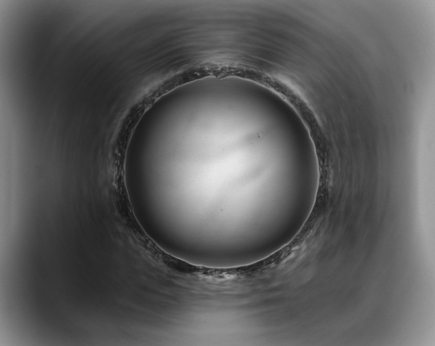 X0000088890823200706081246