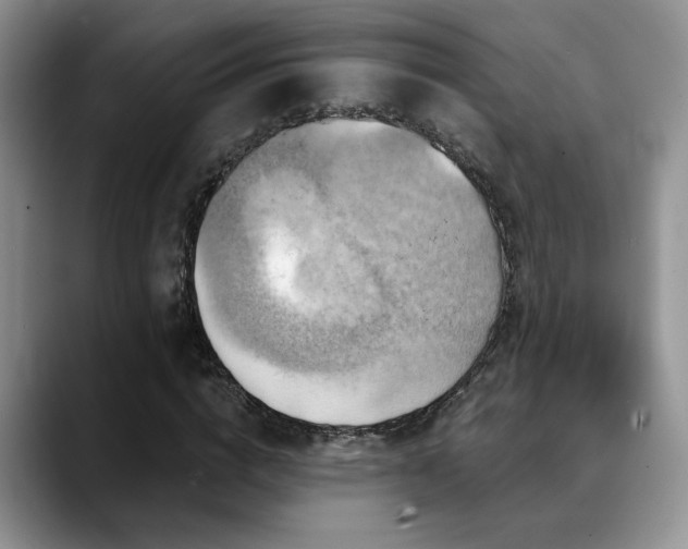 X0000088890824200706081246