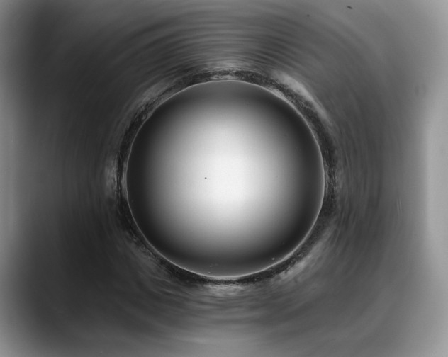 X0000088890825200706081246