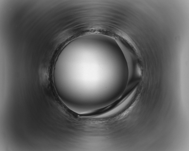 X0000088890826200706081246