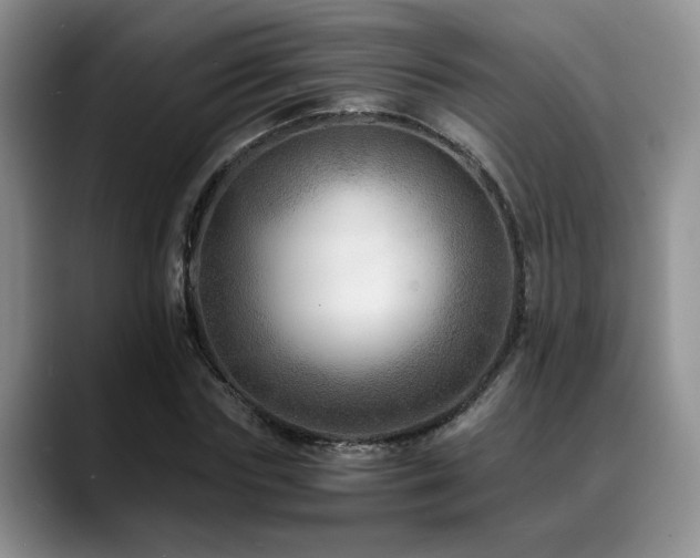 X0000088890827200706081246