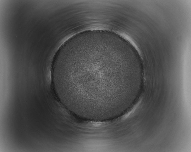 X0000088890829200706081246