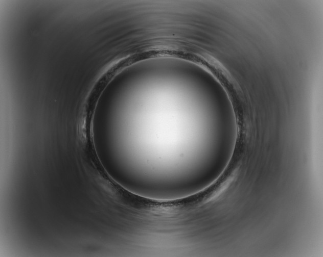 X0000088890830200706081246