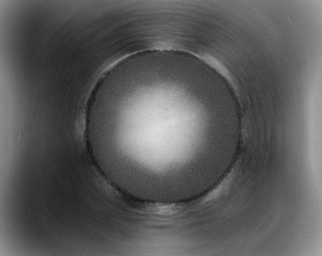 X0000088890831200706081246