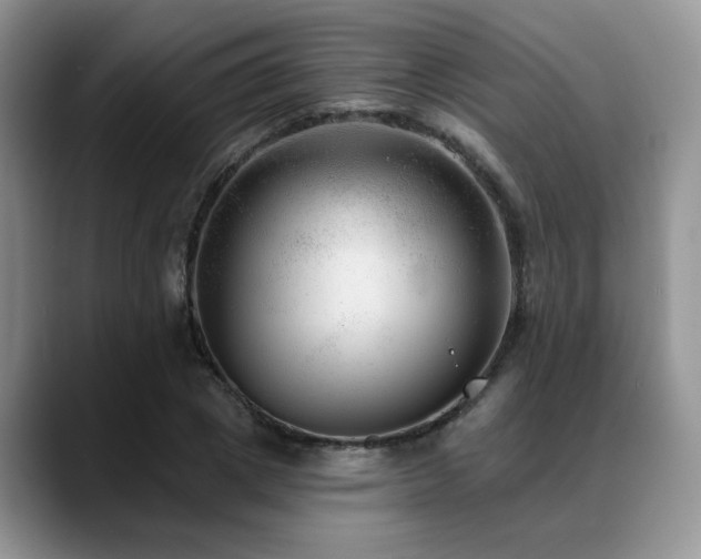 X0000088890833200706081246