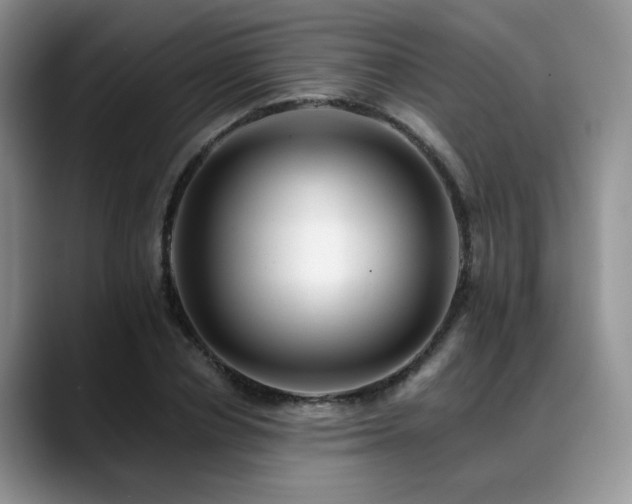 X0000088890834200706081246