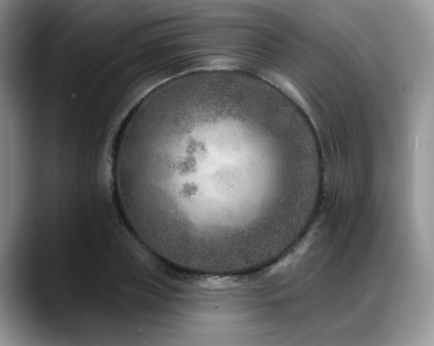 X0000088890835200706081246