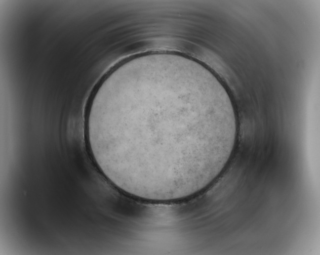 X0000088890836200706081246