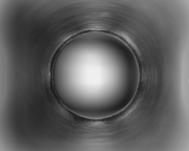 X0000088890837200706081246