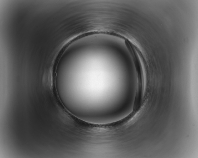 X0000088890838200706081246