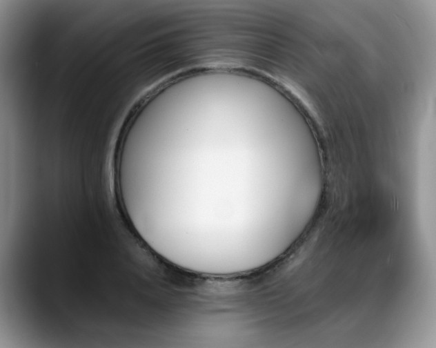 X0000088890840200706081246