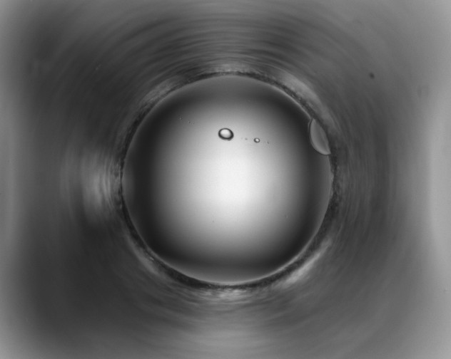 X0000088890841200706081246