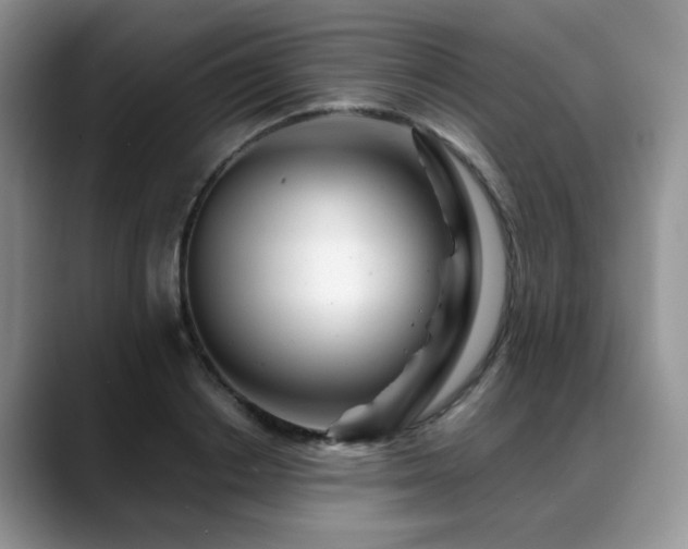 X0000088890842200706081246