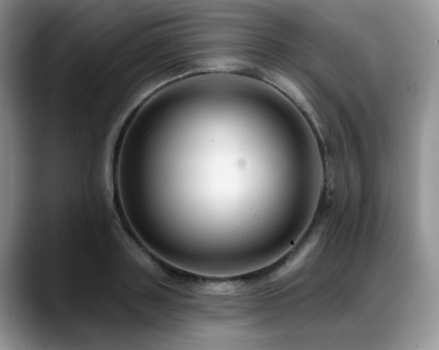 X0000088890843200706081246